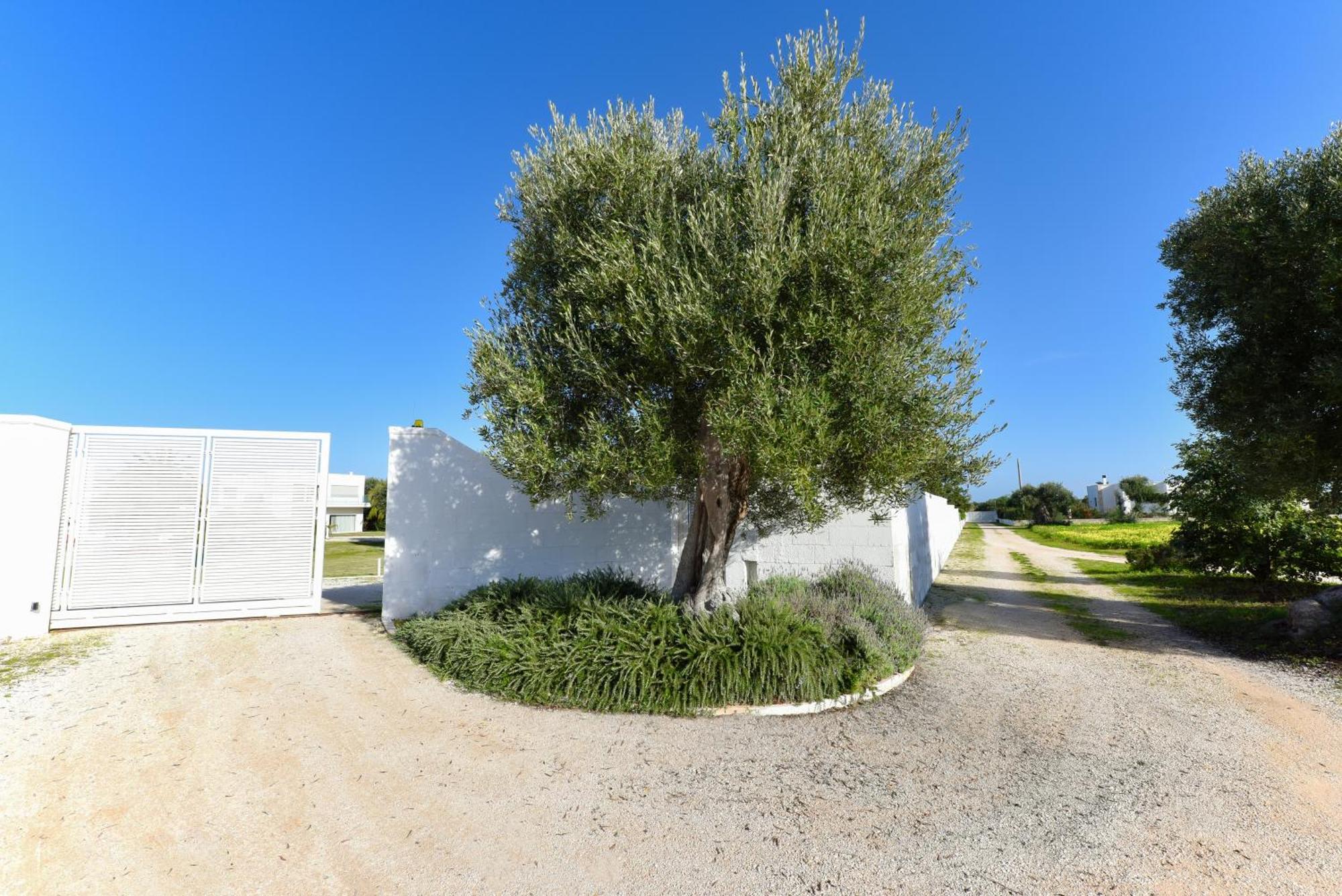 Villa Vinner - Monopoli Extérieur photo